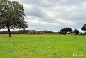 Anlage mit Weitblick – Haus mit lebenslangem Wohnrecht für die Verkäufer.