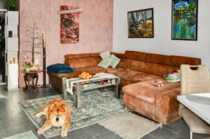 ***RESERVIERT***
Ideal für Kapitalanleger: Langjährig vermietete 2 ZKB-Eigentumswohnung mit TG-Stellplatz auf Erbpachtgrundstück!