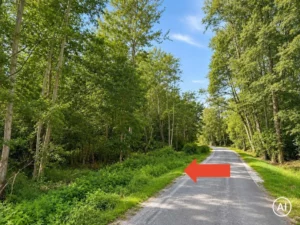 Waldgrundstück in Straelen-Niersbroek